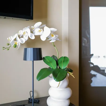 Notos Bed and breakfast